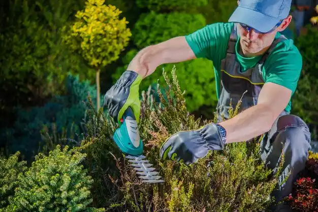 landscaping services Cleves